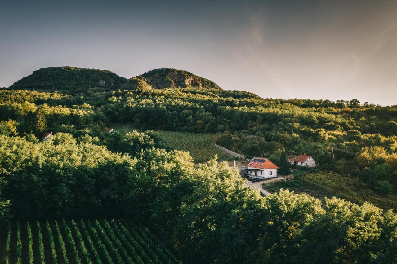 Fata Birtok Hotel Nemesgulacs Bagian luar foto